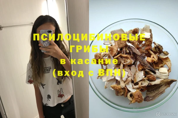 твердый Краснотурьинск
